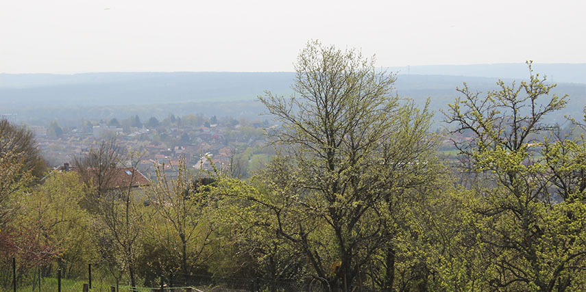 coteaux_855x427