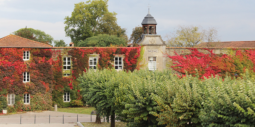 Ferme-automne-855-627
